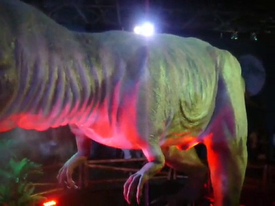 v2010-07_25 Le gros dino