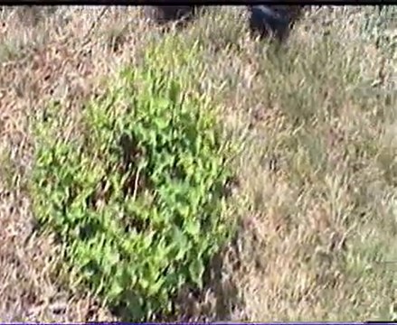 TÜRKİYENİN EN KOMİK AMATÖR ÇEKİMİ