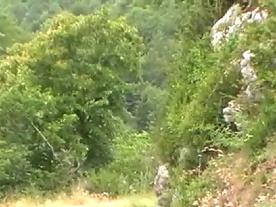 306 maxi Artru drome 2010