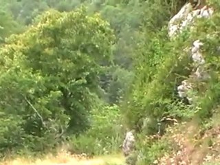 306 maxi Artru drome 2010