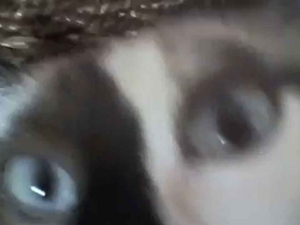 chatons