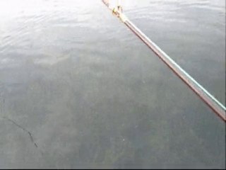 凸凹コンビBass Fihing in 琵琶湖　凸さん２匹ＧＥＴ(^-^)☆!!