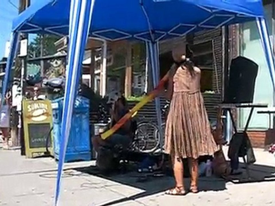Pedestrian Sunday - The Didgeridoo and Sitar