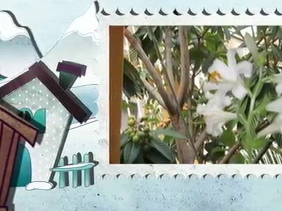 yörük  ali  tolga  çandar