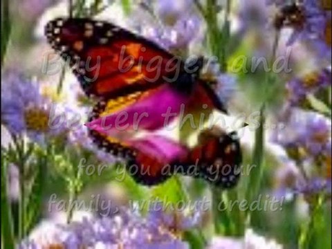 New Business Opportunity - Ashmax - $20,000 in 3 Months?