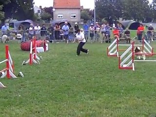 Nuiton 25/07/10 - Jumping Byron Warzazat'