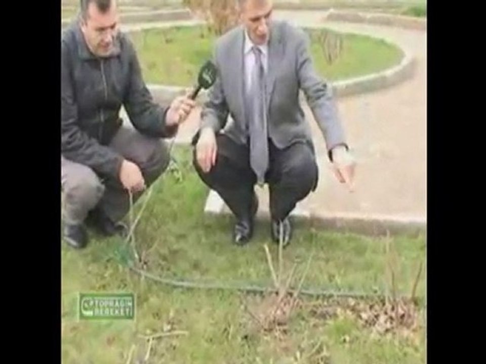 M.O.G. Organik Sıvı Gübre - Isparta Kiraz Üreticisi