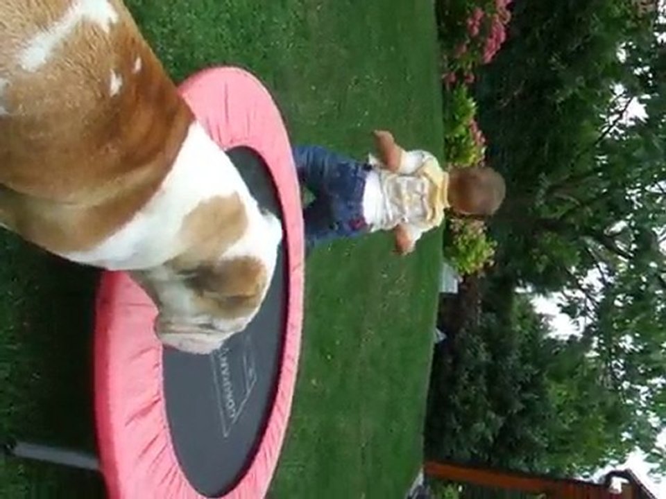 Arsène et le Trampoline...