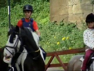 Stepney Bank Stables reaches National Lottery Awards 2010