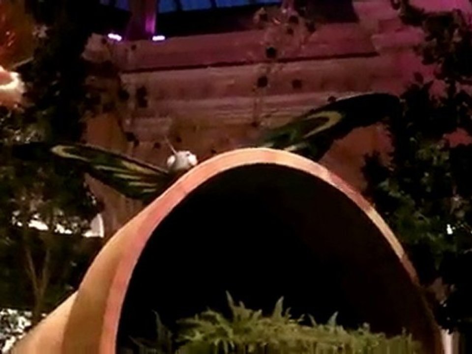 [Las Vegas] 13- Bellagio