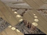 New Crop Circles; UK & Germany - 22 & 25 July 2010