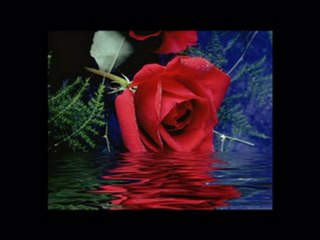 abidin biter elbistan guzeli