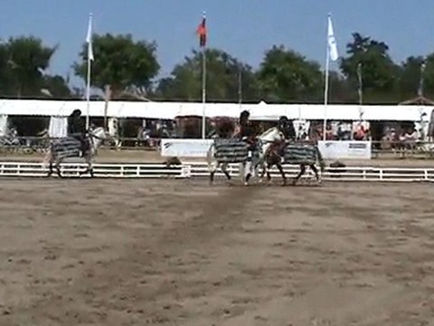 Carrousel Mickael Jackson - coupe C - Lamotte 2010