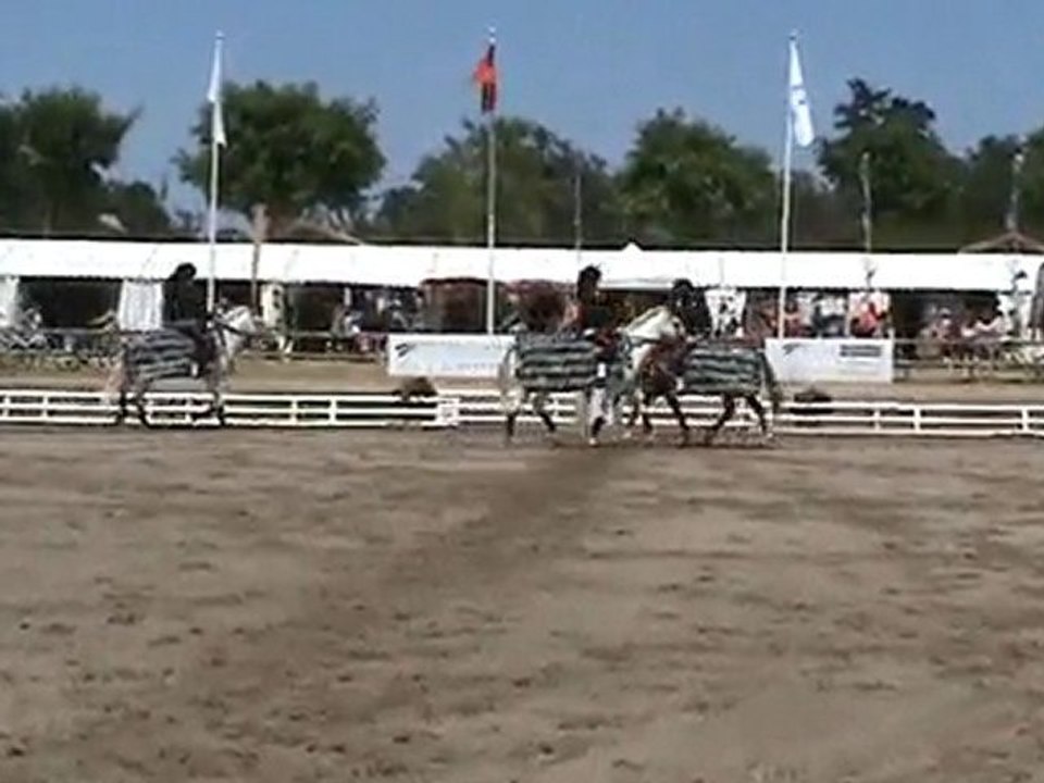 Carrousel Mickael Jackson - coupe C - Lamotte 2010