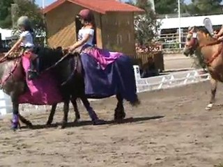Carrousel Gipsy Ladies - coupe C - Lamotte 2010