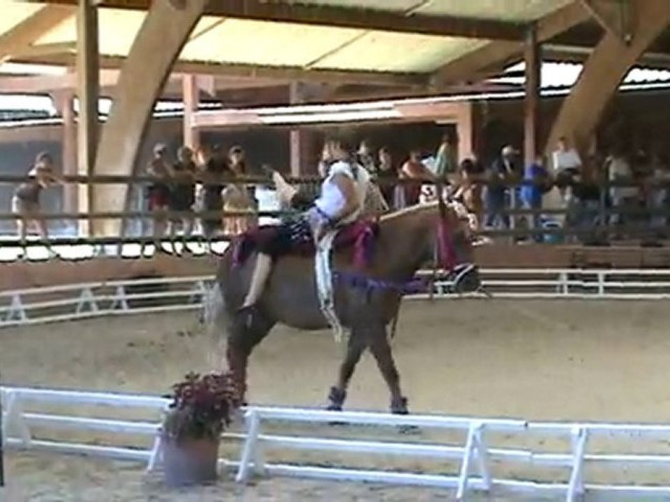 Voltige bohemiennes - Coupe D - Lamotte 2010