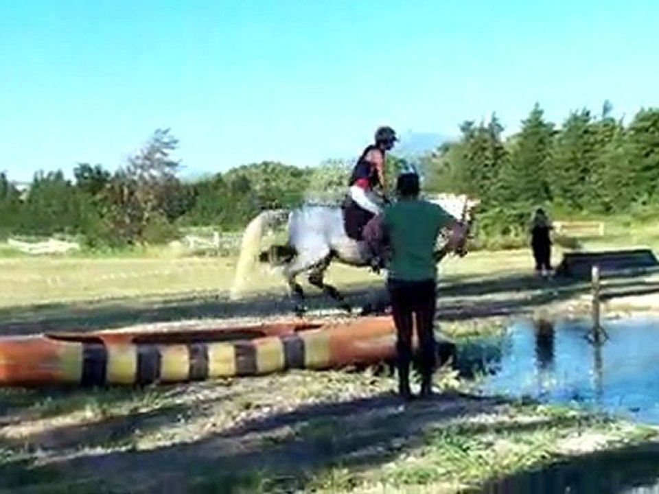 Nénuphar cross juillet 2010 (3)