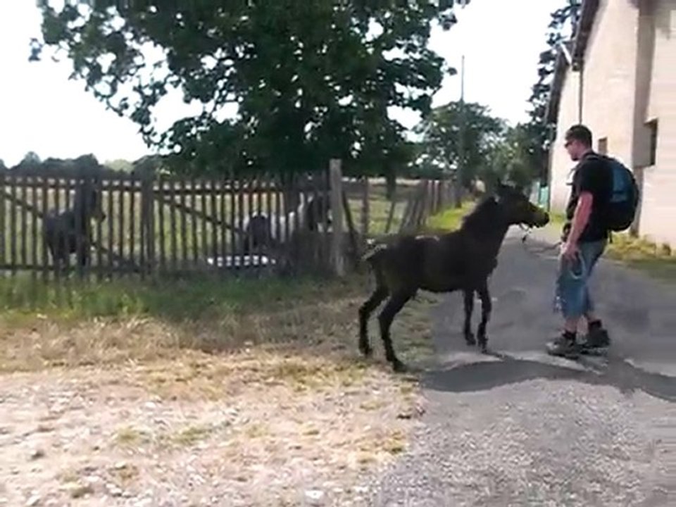 uvalou et son cri partie 2