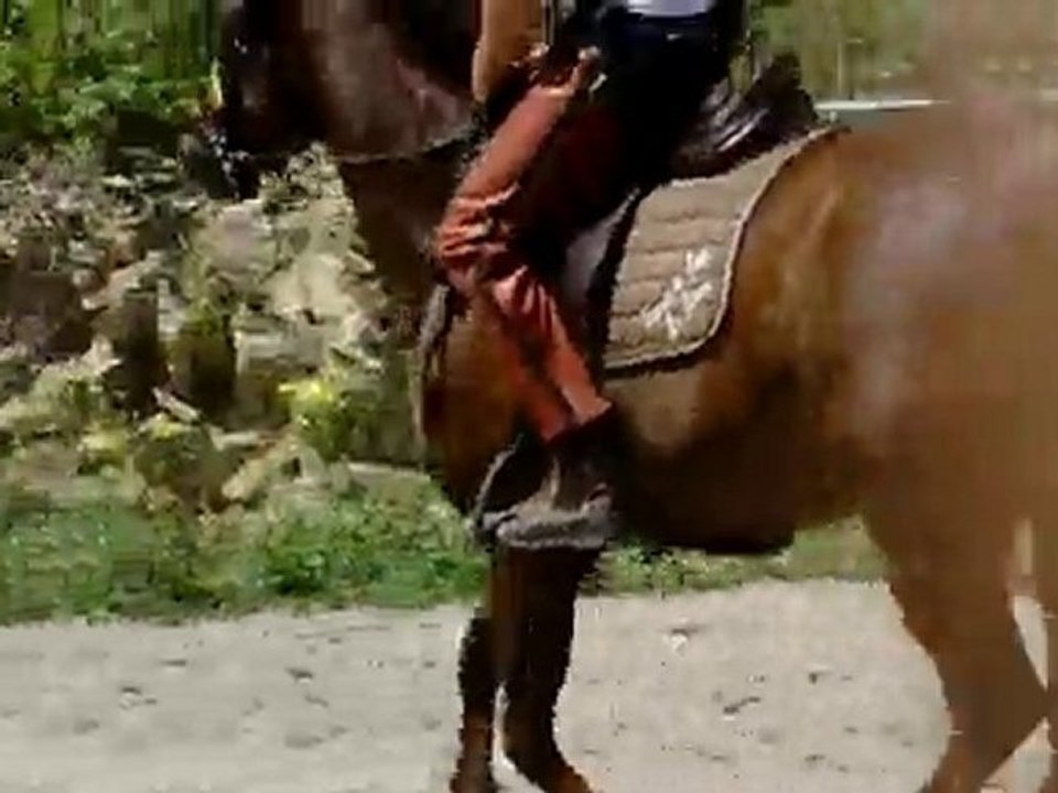 Ecuries du Nevez RAS 2