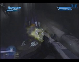 Halo (15) D'omptage De Floods