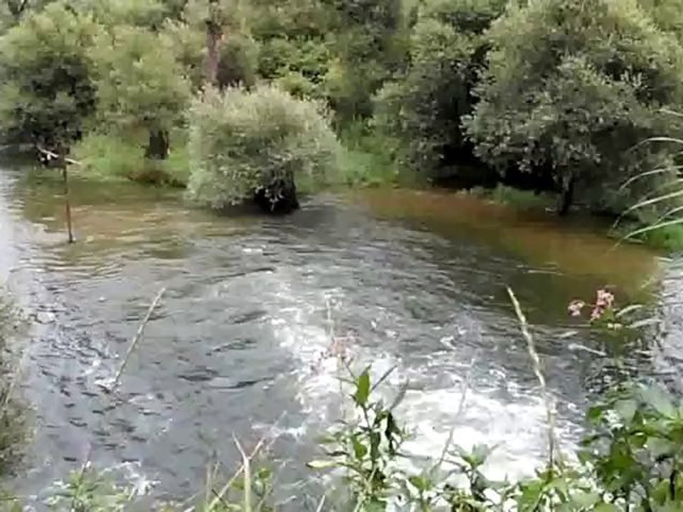 Delta de la Sauer en Alsace