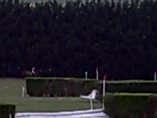 Gamine et Gaëlle CCE Chalon Juillet 2010