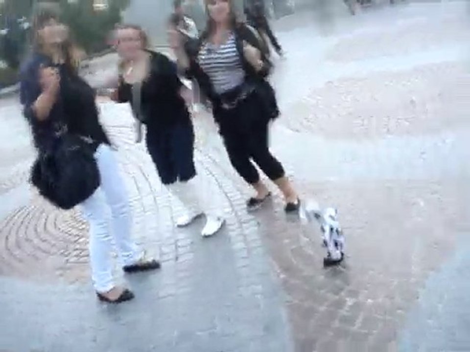 danse de la vache 2