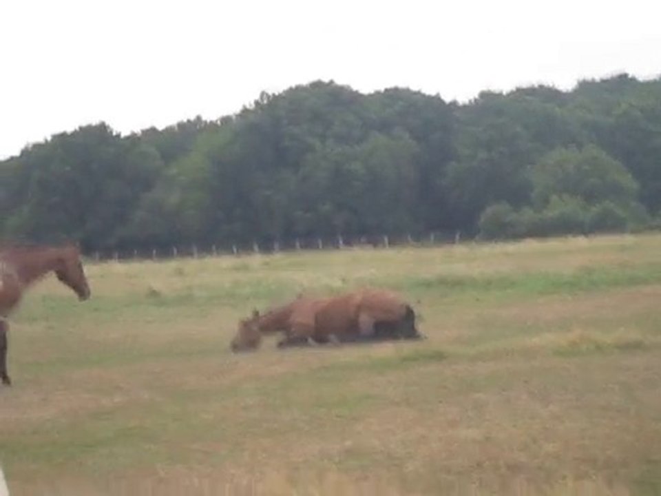 Roulade après 4h00 de balade