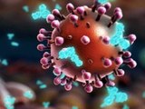 HIV και γρίπη - η στρατηγική παραγωγής εμβολίων