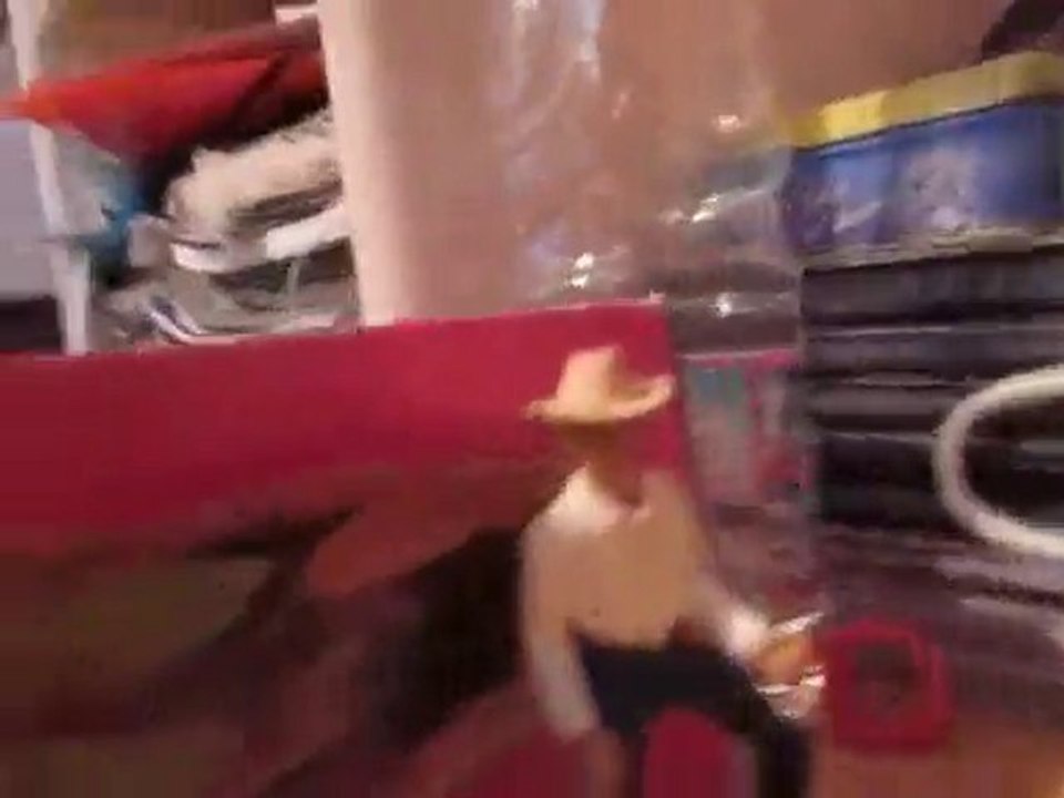 Présentation de mon Centre équestre