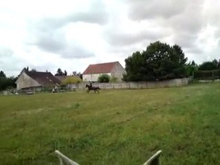 Entrainement cross: Ludo et Offenko