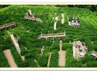 Episode 1 Part 2  Dreams In Motion visits Davis Mega Maze!