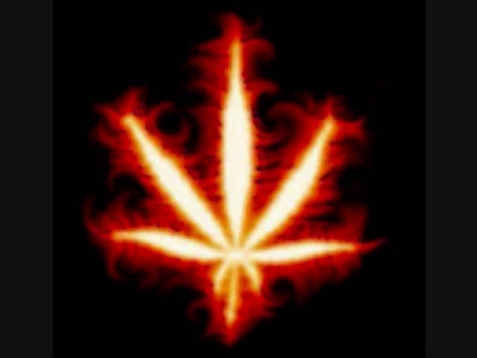 danakil-résistance
