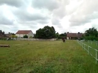 entrainement cross: Damien et Hussard