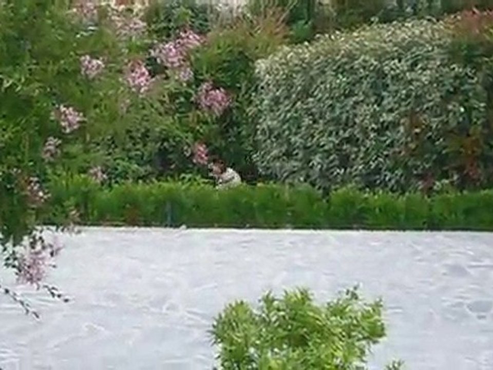 Defense du territoire