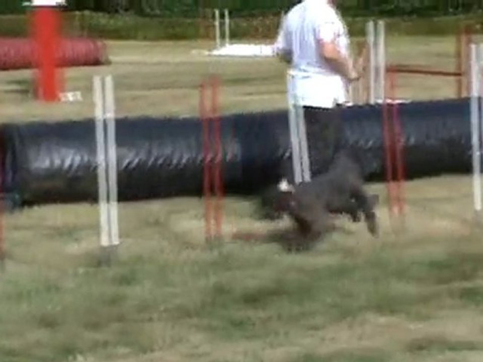 Twix jumping