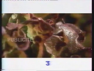 France 3 17 Nov. 2000 12-13 C'est Mon Choix keno pubs ba