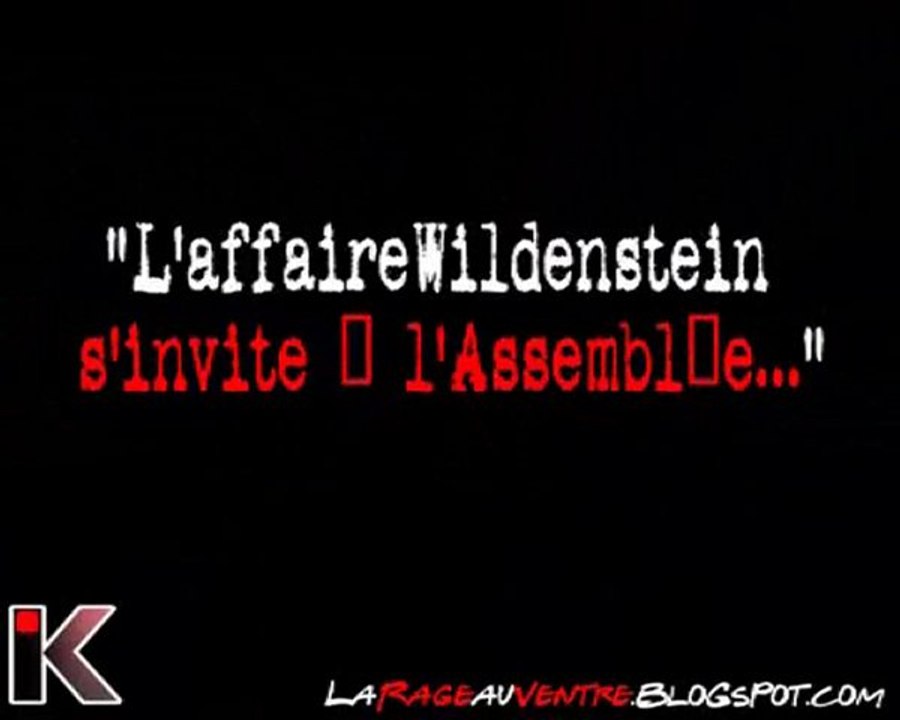 La succession Wildenstein, une future affaire Woerth ?