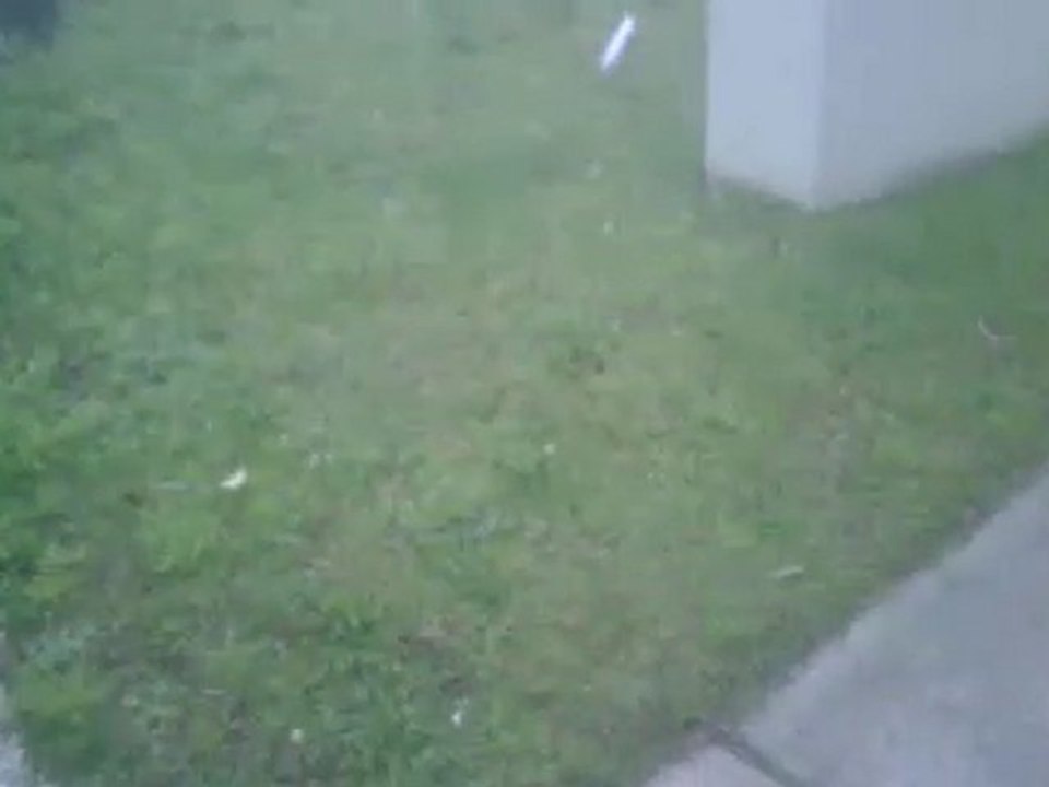 [Lawn Care Tips] - [Lawn Green] [Lawn Care] - [Lawn Weeds]