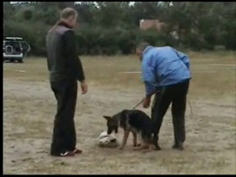 Flora 4 mois premiere sèance de mordant