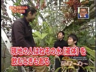 よ～どん!　プラントハンター