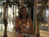 visite lsf du musée d'histoire naturelle
