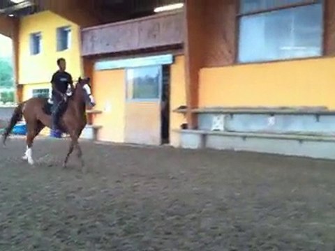 queen martin sauts, jument PP SF 6 ans, 1m73