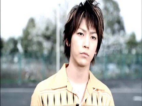 Стрекозы любви