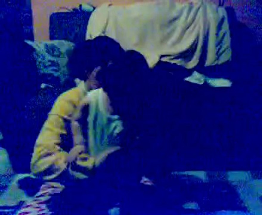 16032010288