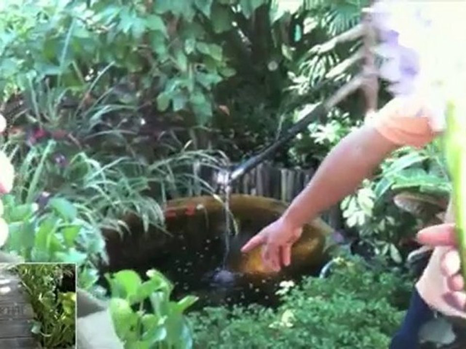 Vacances Bahamas 2010