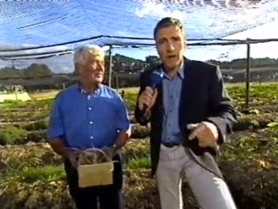 FloraFarm Ginseng auf TV N3 am 4 Sep 2000