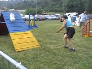03 07 2010 agility Liège 6 Tatal