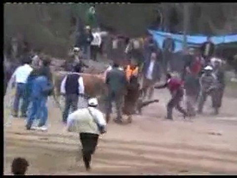 Artvin Yusufeli İlçesi Sarıgöl Boğa Güreşleri 2006