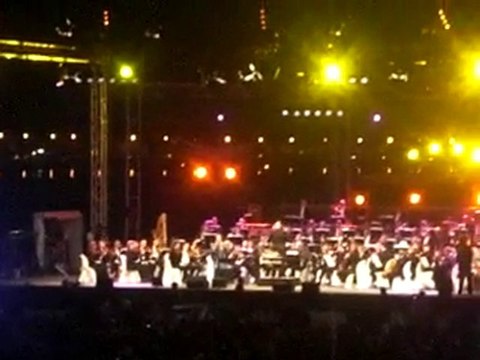 Violon sur le Sable 2010 Christiane Legrand Peau d'Ane